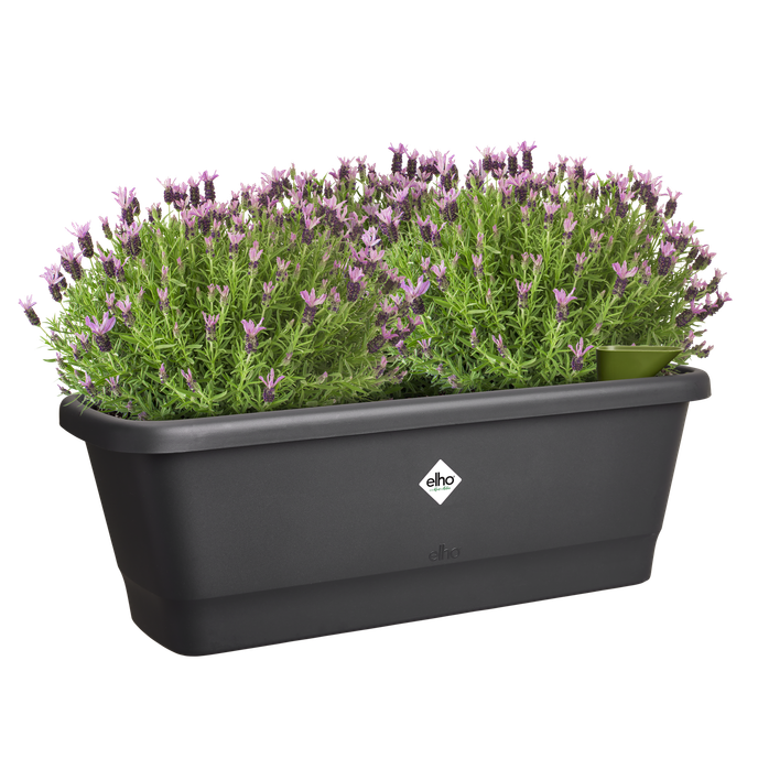 noa balkonkasten m living schwarz